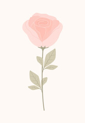 Fototapeta premium Elegant minimalist vector illustration of a single pink rose with soft petals and green leaves. For greeting cards, wedding invitations, design, wall art, packaging, romantic decor. Isolated rose