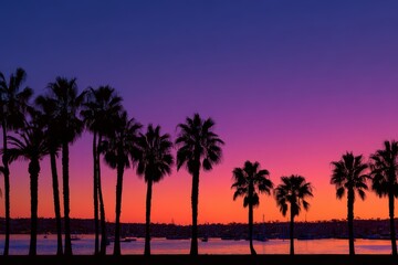 Naklejka premium Dramatic Sunset Over Mission Bay San Diego with Iconic Silhouette of Palm Trees in California's Coastal Evening Sky