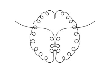 
Human brain outline vector illustration in minimalist line art style on a white background