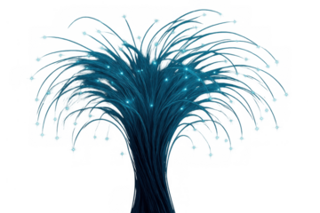 Fiber optics forming abstract data connection tree structure, sending light signals, transparent background for global communication network