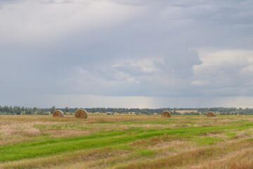 Obraz premium A beautiful golden bale sits prominently on an agricultural field beneath a clear blue sky