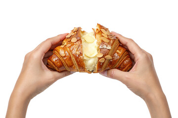 Close-up of two hands pulling apart delicious almond croissant with creamy interior, french pastry isolated on transparent background
