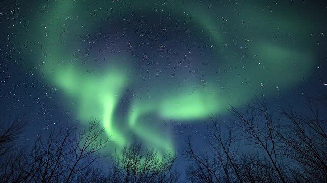 A breathtaking natural light display unfolds across a dark, star-filled night sky, showcasing vibrant green hues that ripple and flow dynamically. Silhouetted bare tree branches frame the lower portio