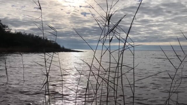 evening on the lake shore, dark forest, low clouds