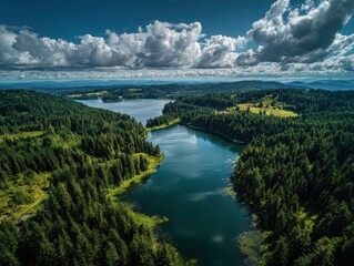 Stunning Aerial View of Tranquil Tanwax Lake in Pierce County, Eatonville - A Summer Landscape of Water, Sky and Forest