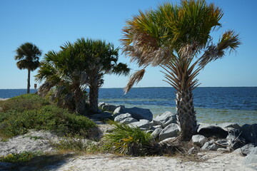 Fred Howard Beach in Tarpon Springs Florida