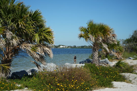 Fred Howard Beach in Tarpon Springs Florida