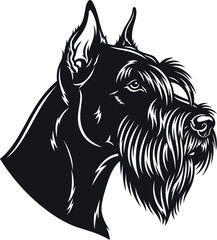 Schnauzer Dog Head Vector Portrait. Monochromatic Black and White Illustration