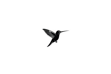 Fototapeta premium A solitary hummingbird in flight showcasing its delicate wings and form