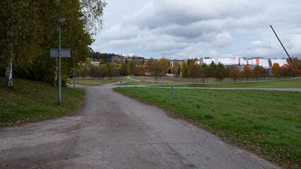 Roads in the park in autumn