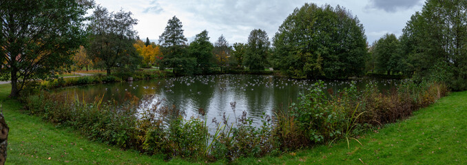 Reflection of trees in the pond in the park.