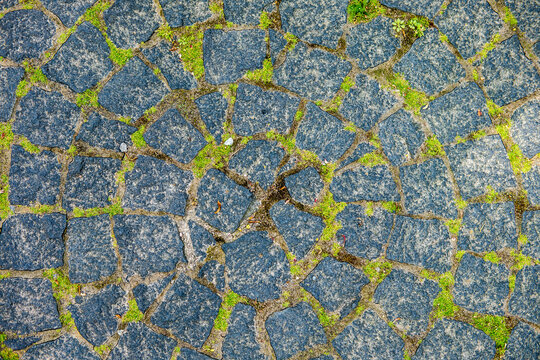 gray paving stones