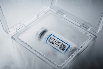 Cryogenic preservation of bovine stem cells for cellular agriculture. A detailed view of labeled cryovials stored in a specialized box, crucial for future cultured meat production