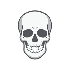 Fototapeta premium Vector illustration of a human skull with outline and dark features for Halloween or anatomy designs