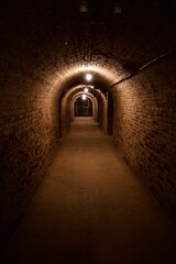 Fototapeta premium Hallway of champagne cellar