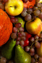 Close-up of cozy autumn fruit bowl with fresh pears, apples, grapes, and pumpkin, warm natural tones, homegrown fall harvest, rustic seasonal still life.