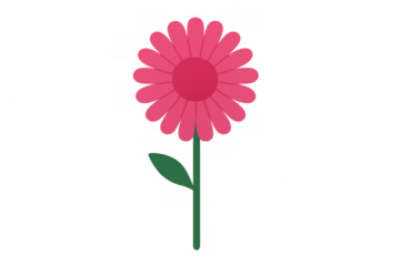 Pink flower illustration with green stem and leaf, simple drawing for nature, spring, or garden concepts, transparent background