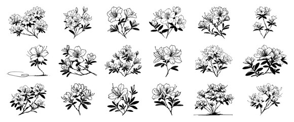 Flowering shrub silhouette variations – airy blossom sprays illustrated in graceful monochrome ink set