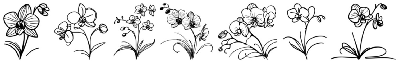Orchid stem variations – slender exotic blooms drawn in airy graphic ink style, vintage study set