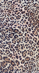 Luxury leopard background. Wild tiger pattern. Pantera animal print. Cheetah print. Snow leopard fur. © Feoktistova