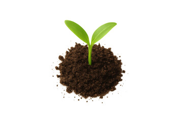 Green seedling growing from mound of soil, symbolizing new life, growth, ecology, and environmental care