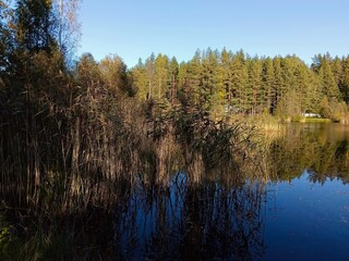 beautiful autumn landscape on the lake in the forest on a sunny day