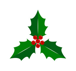 christmas holly isolated on white background