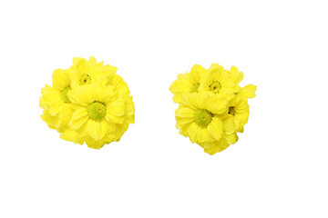 白バックの菊の花束