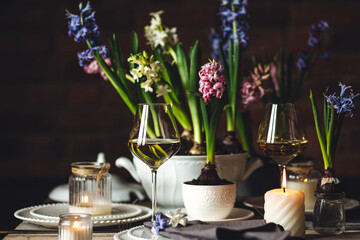 Elegant beautiful dinner table setting with a floral composition with bulbous hyacinth flowers as centrepiece. Easter celebration. White wine, vintage tableware. Bohemian style. Dark background