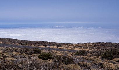 A high-altitude road above the clouds on the slopes of a Tenerife volcano. Dry bushes, rocky fields, and a bright blue sky create a stunning, surreal atmosphere.