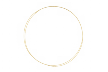 Gold oval frame design featuring elegant thin double rings for certificate or wedding invitation, transparent background