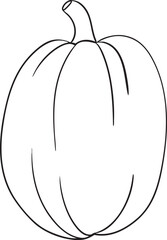 Vector pumpkin illustration