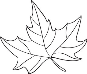 Vector maple leaf illustration