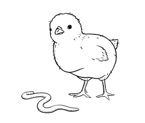 Farm baby chick in line art style with worm nearby. Simple countryside moment of natural feeding instinct, perfect for rural life, children book or spring themed design. Gentle ink illustration.
