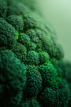 Close up macro photo of fresh green broccoli texture with natural light and shallow depth of field