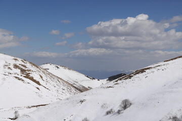 Snowy mountain slopes with dry grass and bare trees under blue sky, Lori, Armenia