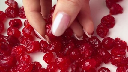 Dried red cherries on a white background touched by a well-groomed female hand with manicured nails symbolizing healthy eating natural sweets and the balance between nutrition and indulgence.