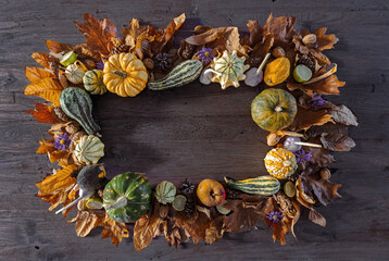 Various coloured Pumpkins. Autumn decorations.