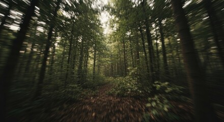 Deep forest path with tall green trees, light at end, radial blur, natural setting