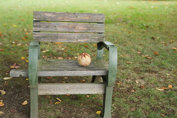 A bench with a pumpkin on it
