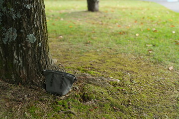 A purse is sitting on the ground next to a tree