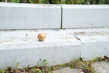 A small white object is sitting on a concrete ledge