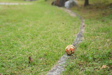 A soccer ball is sitting on the grass next to a stone path
