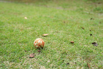 A soccer ball is sitting on the grass in a field