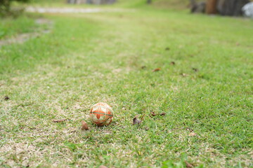 A ball is sitting on the grass in a field