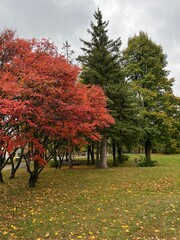 Autumn on a rainy day