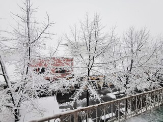Snowy balcony trees New Year 2026