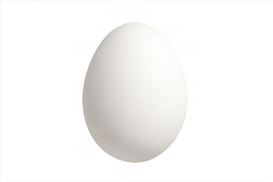 White egg, minimal chicken embryo food ingredient, healthy breakfast diet, cooking kitchen element on transparent background