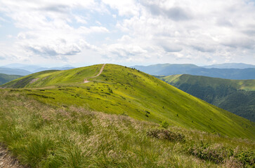 Fototapeta premium Scenic hillside panorama featuring rolling green hills, a winding dirt path up the hill, and a clear blue sky. Carpathian Mountains, Ukraine