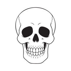 Black Skull Outline Illustration on Dark Background